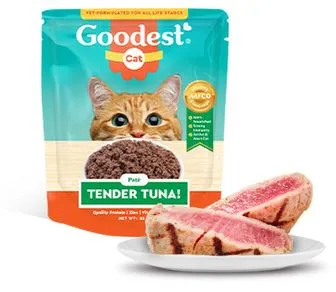 a pouch of Goodest Tender Tuna with a plate of two wedges of seared tuna on the foreground